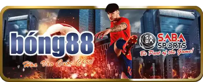 Kèo BDD trong cá cược đá gà